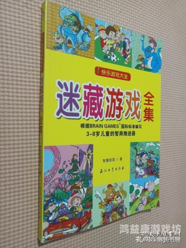 双人游戏大全，快乐与智慧的完美结合