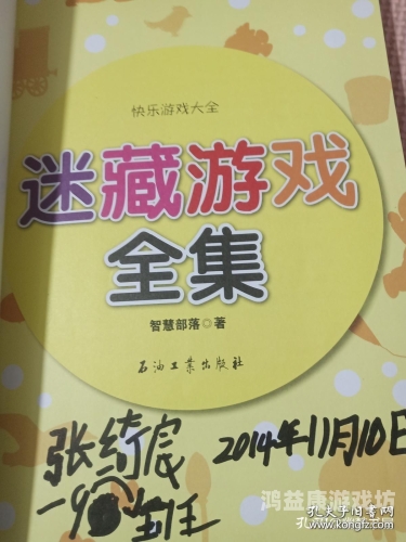 双人游戏大全，快乐与智慧的完美结合