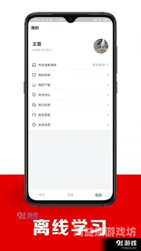 国产最新91网址网站解析，安全、便捷与用户体验的完美结合91新网站是多少