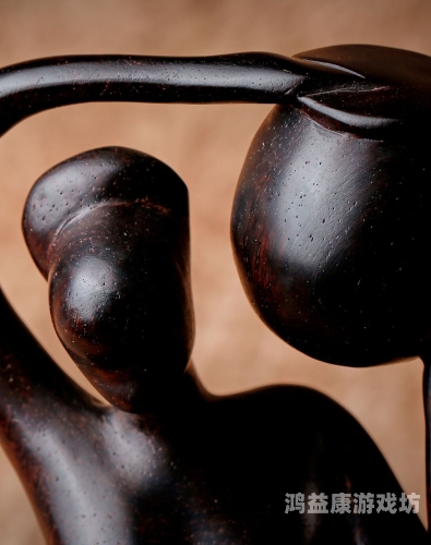 探索精品无码三级影片的魅力，婷婷作品的深度解析婷婷 我去