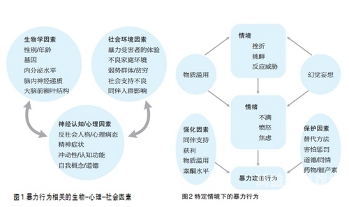 探索成人内容对心理水蜜桃在线播放的影响，科学视角下的深度解析