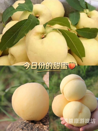 精品蜜桃秘一区二区三区粉嫩，探索优质蜜桃的独特魅力