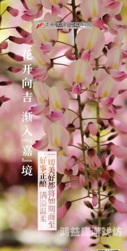 2023年最新手机中文字幕大全，全面解析与实用指南