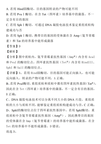 2023年最新手机中文字幕大全，全面解析与实用指南