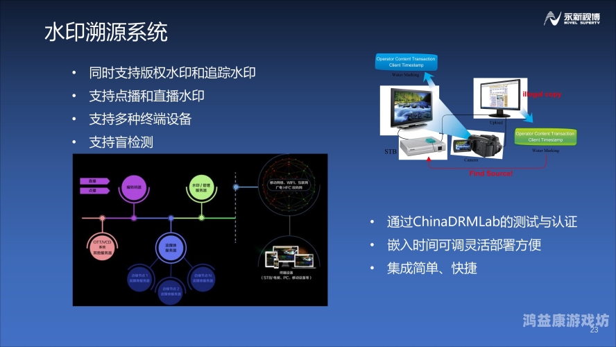 探索数字时代的版权保护，技术与策略的融合最新版正版windows七旗舰版密钥