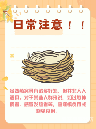 蜜臀在线观看，探索水蜜桃在线播放与美丽的双重魅力