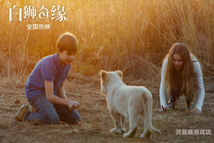 免费电影无码，探索合法观影新途径