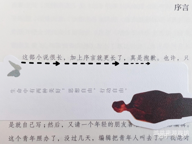 一、引言