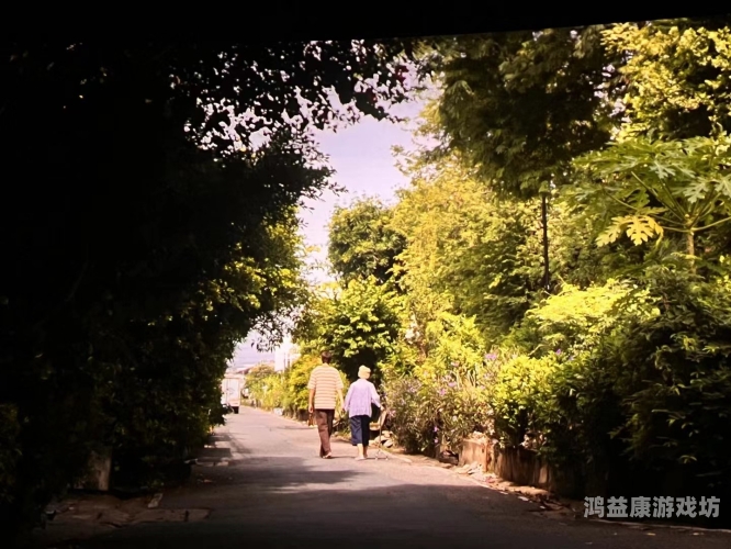 亚洲色电影专区，探索亚洲电影中的情感与艺术表达
