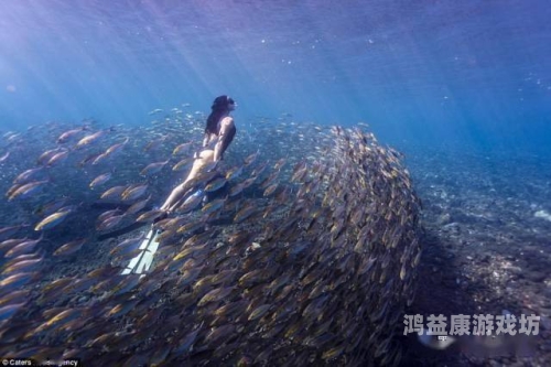 Runaway，自由与梦想的绝美交织