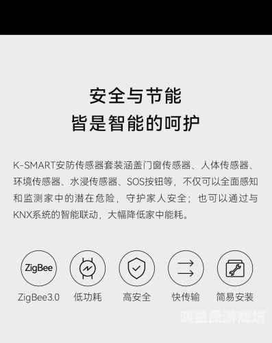 欧美中文无线码，技术革新与市场应用的深度解析