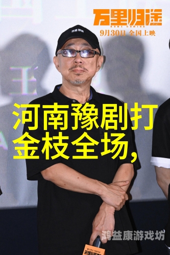 国产123区视频，探索本土影视作品的多样性与创新
