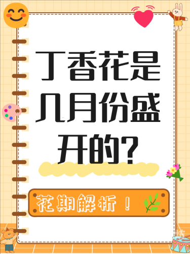 五月丁香久久，探寻丁香花的文化意蕴与生态价值