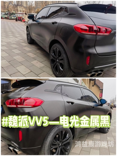 青鸟影视官网在线观看，探寻影视新视界weyvv5国产的suv电影
