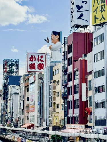 大江户之城攻略，探索日本古都的绝美风情与丰富历史