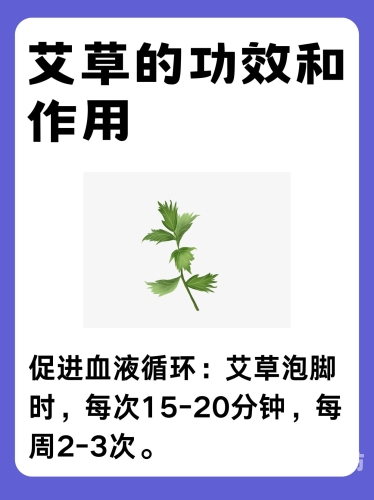 久久精品亚洲精品艾草网，探索艾草文化的魅力与应用
