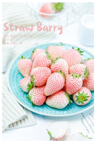 探索与解析，小猪视频、芭蕉视频、草莓视频与幸福宝的异同