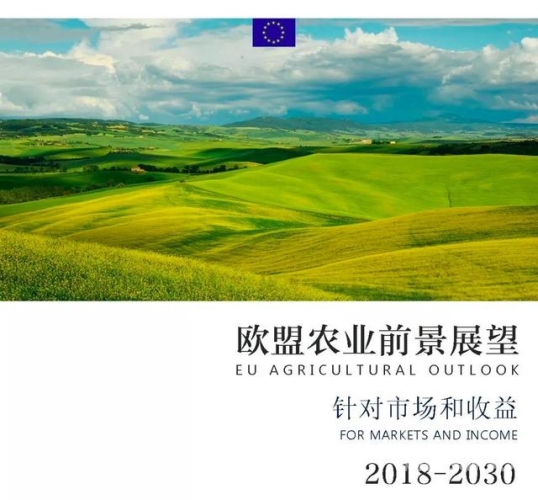 欧美成αⅴ人在线观看，趋势、影响与未来展望