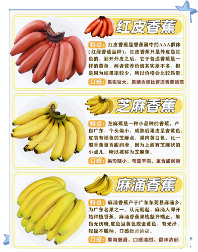 国产香蕉97视频观看，了解国产香蕉的种植与营养价值