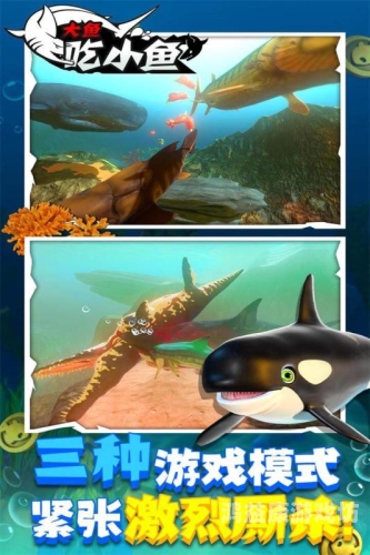大鱼吃小鱼，经典游戏及其背后的故事