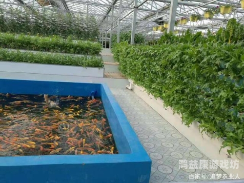 蚂蚁庄园串门种麦子，探索农业新篇章与生态平衡