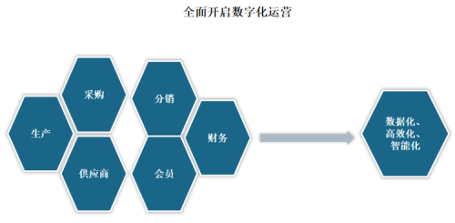 国产与欧美精品影视剧一区二区对比分析，文化差异与市场表现