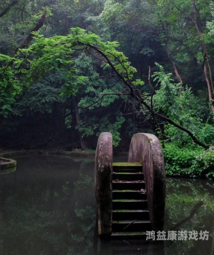 五月丁香青草久久，探寻自然之美与心灵慰藉