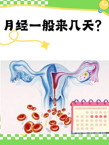 探讨现代女性性水蜜桃在线播放，了解高潮的生理与心理因素