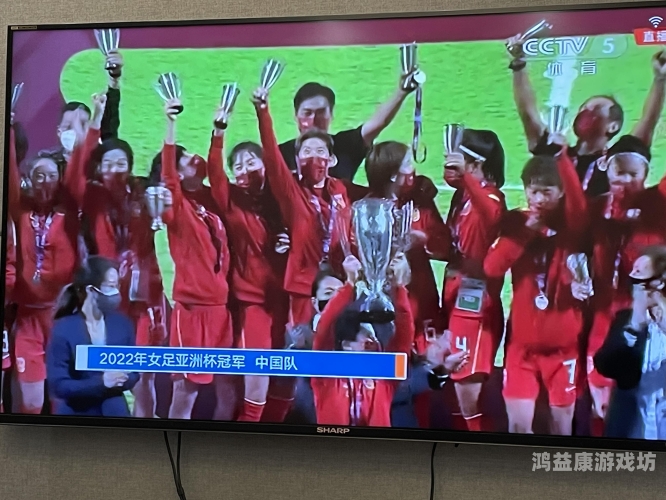 亚洲杯直播比赛，沉浸式体验足球盛宴