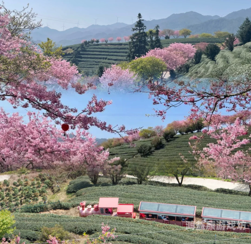 樱花动漫在线看动画，探索那些美轮美奂的日式动画世界