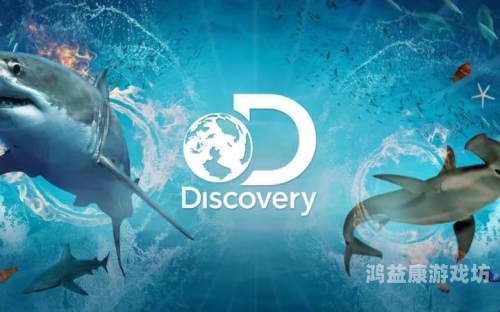 免费亚洲欧美视频，探索全球影视文化的窗口