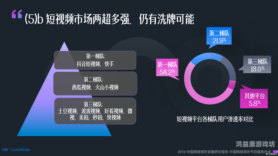 国产看片网站的发展现状与未来趋势分析