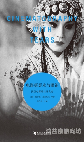 2012年中国电影回顾，字幕国语免费助力文化传播中文 字 幕