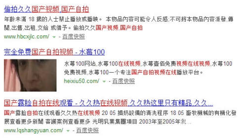 久久精品国产网址，探索国产精品网站的魅力与价值