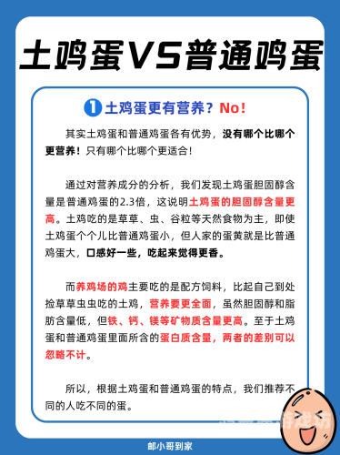 如何科学有效地使鸡蛋变大变粗——简便方法的深度解析怎么让鸡子变大变粗最简单的方法变硬