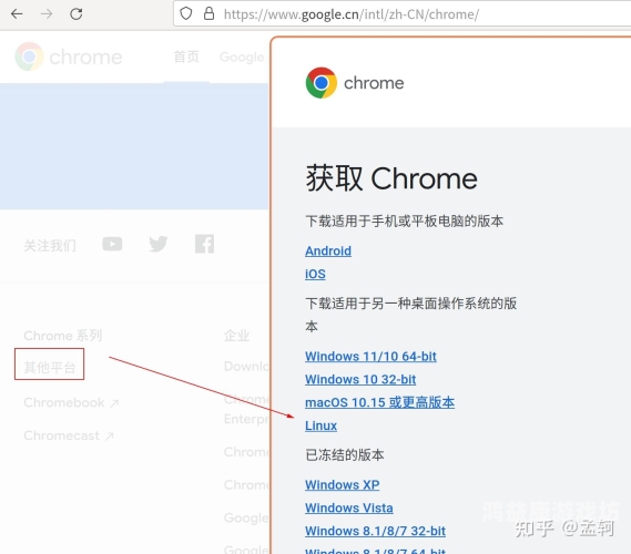 谷歌浏览器，探索网络科技的神奇工具chrome谷歌浏览器官网