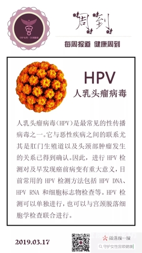 口交与HPV病毒，科学解读与防范