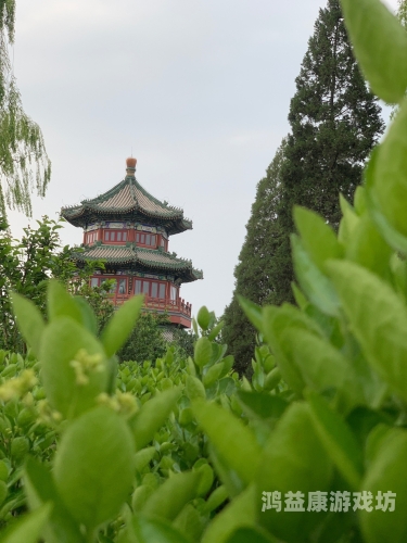 欧美日本韩国一区二区三区视频，全球影视文化的交融与差异