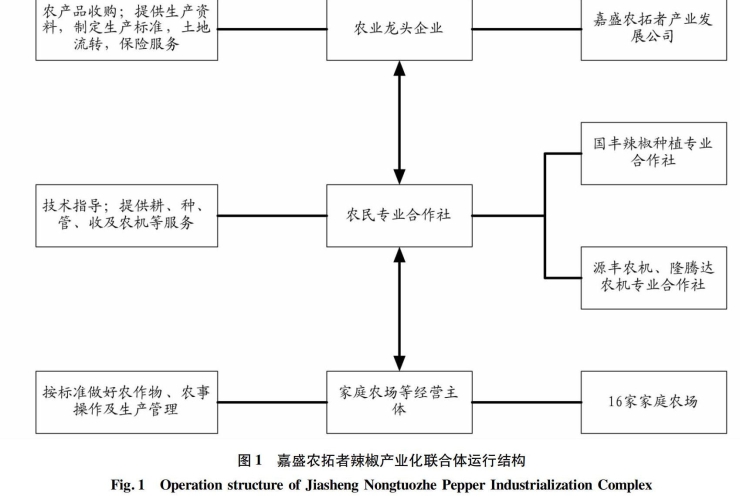 一区二区三区国产精品解析，中国影视产业的区域化发展与市场格局