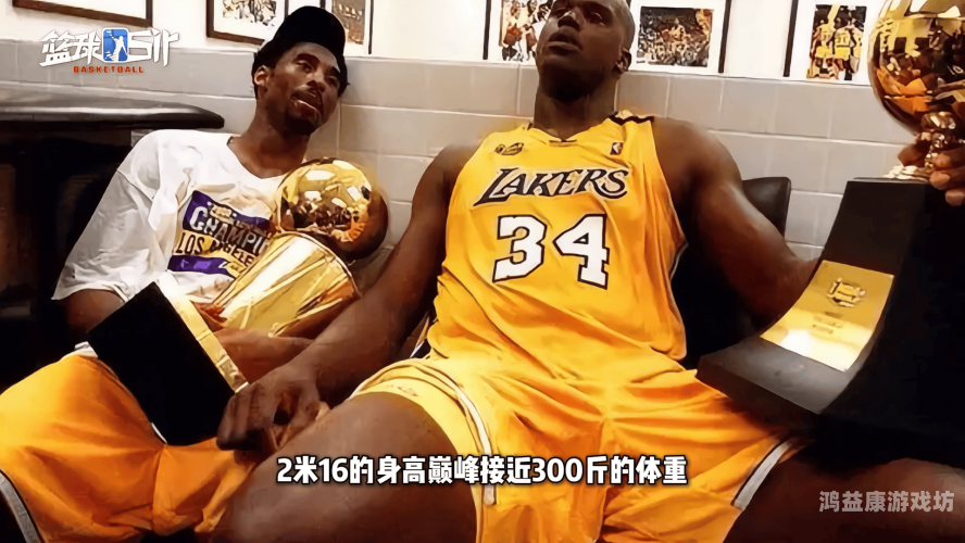 NBA最新新闻概览NBA最新新闻300感受
