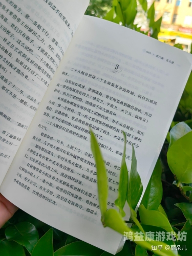 武侠小说大全，探秘江湖中的奇幻世界怀旧武侠小说大全