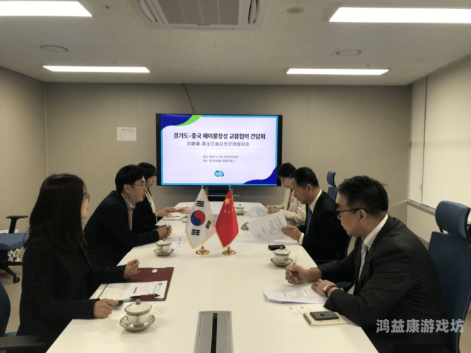 日本与日韩文化交流中的中文字幕，桥梁与挑战