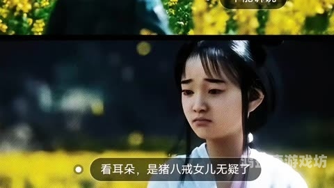 欧美中文字幕在线观看指南，平台推荐与使用技巧八戒,八戒影视剧在线观看免费