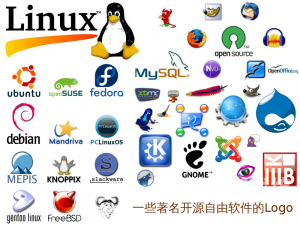 种子搜索在线引擎，开启知识获取新纪元
