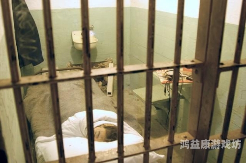 小偷如何巧妙逃出监狱，揭秘犯罪心理与防范策略小偷逃出监狱攻略图