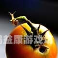 国产与欧洲野花，一场视觉盛宴的碰撞