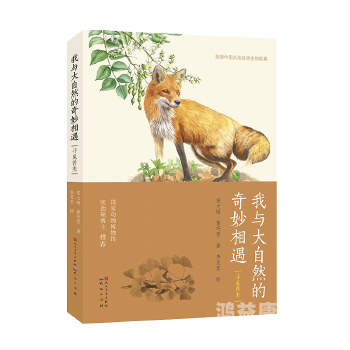 野花高清影视免费观看，探索大自然的魅力与艺术的完美结合