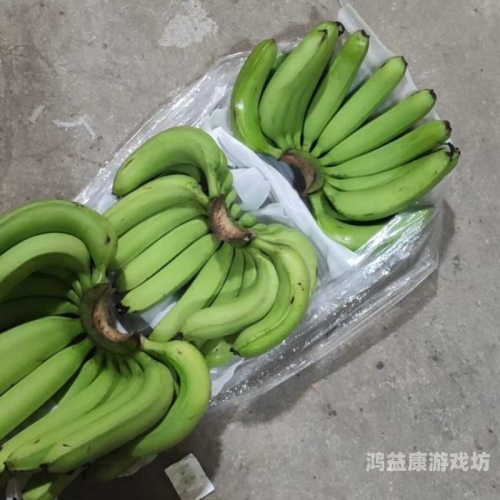 国产精品一香蕉国产线看观看，品质与创新的完美结合