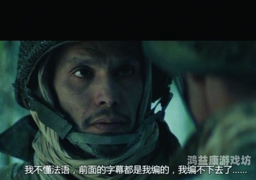 国产精品中文字幕出し，影视字幕翻译的艺术与挑战