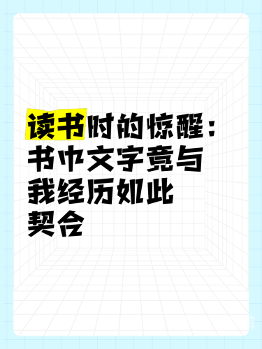 中文字幕无码中文幕，探索中文影视作品的字幕文化